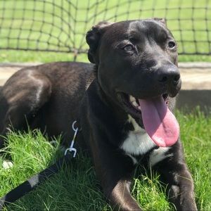 Meet your Posher, Samantha